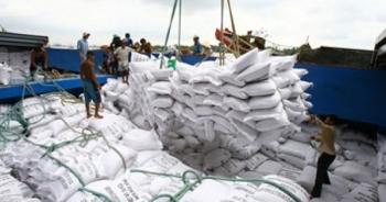Audio Tài chính Plus: Xuất khẩu tăng 40%, tín hiệu vui của ngành lúa gạo