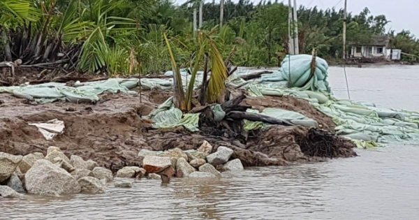 TP HCM: Làm rõ nguyên nhân vụ sạt lở nghiêm trọng bờ kè Tắc Sông Chà tại huyện Cần Giờ