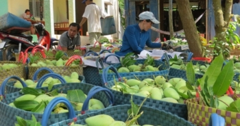 Giá trái cây ở ĐB sông Cửu Long giảm giá kỉ lục