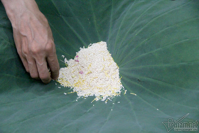 Với mỗi 1kg tr&agrave;, người ta phải d&ugrave;ng hai lạng gạo sen cho một lần ướp