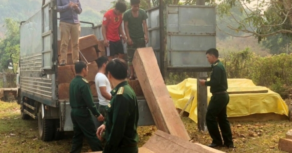 Kon Tum: Phát hiện nhiều bãi tập kết gỗ lậu khu vực biên giới