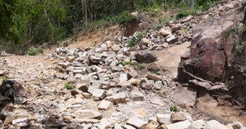 Tái diễn tình trạng lấn chiếm đất rừng trên núi ở Bà Rịa – Vũng Tàu