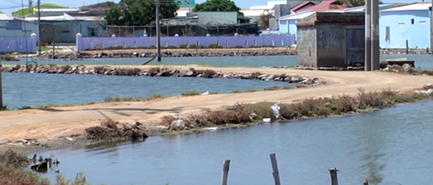 Nhiều diện tích đất công ích ở xã Tri Hải bị cho thuê với giá bèo gây thát thoát hàng tỷ đồng ngân sách.