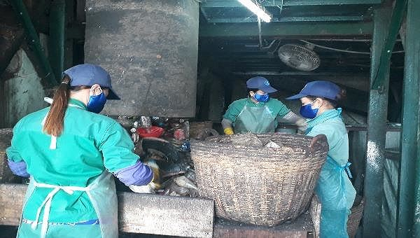 Thông tin 300 xác thai nhi chôn cất trong khuôn viên nhà máy rác
