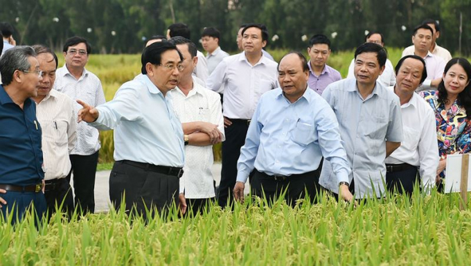 Thủ tướng Nguyễn Xuân Phúc thăm cánh đồng mẫu, trồng các giống lúa mới tại An Giang.