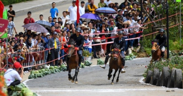 Những khoảnh khắc tranh tài quyết liệt tại giải đua ngựa Fansipan lần thứ nhất