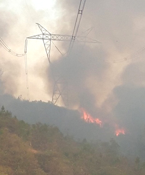 Cháy rừng ở khu vực thị xã Hương Thủy, tỉnh Thừa Thiên - Huế chiều 28/6/2019