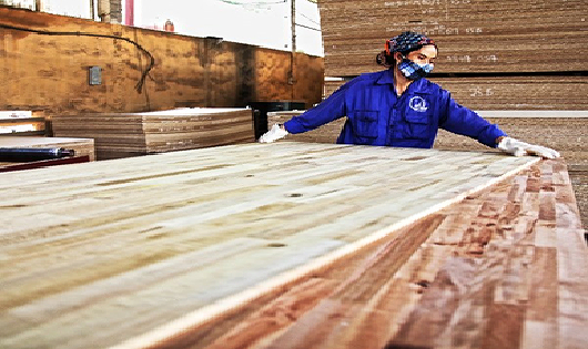 Dự án FDI từ Trung Quốc tăng nhanh: Doanh nghiệp ngành gỗ mừng ít, lo nhiều…