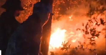 Video: Hàng ngàn người trắng đêm chiến đấu với cháy rừng ở Hà Tĩnh