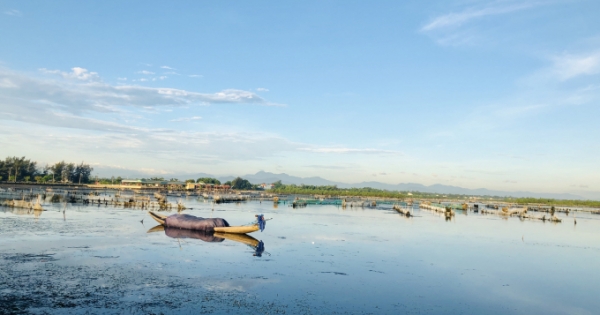 Thừa Thiên Huế: Thành lập Khu bảo tồn thiên nhiên đất ngập nước Tam Giang – Cầu Hai
