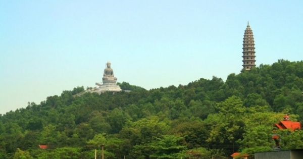 Nhiều trường hợp lấn chiếm đất rừng phòng hộ tại khu vực chùa Phật Tích