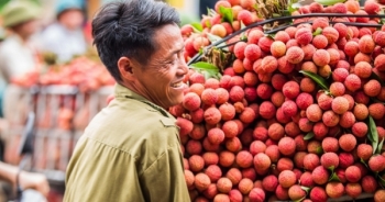 Trái vải thiều của Việt Nam sẽ được Trung Quốc nhập khẩu nhiều trong thời gian tới