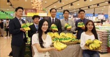 Chuối Việt Nam xuất hiện tại chuỗi hơn 80 đại siêu thị Lotte ở Hàn Quốc