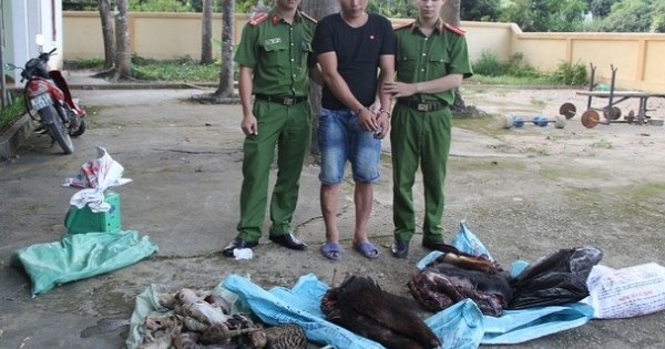 “Cắt rừng” vận chuyển động vật quý hiếm từ Lào về Việt Nam tiêu thụ