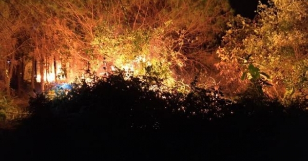 Hàng trăm người nỗ lực cứu rừng thông bị giặc lửa tấn công
