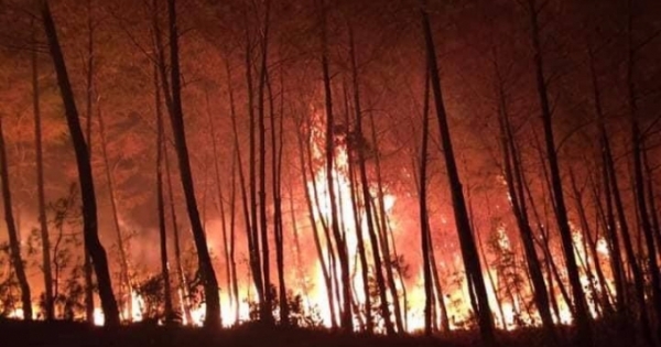 Cháy rừng lan sang nhiều xã, cả ngàn người chiến đấu với giặc lửa cứu rừng