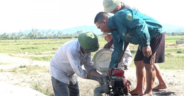 Nguy cơ 10 ngàn ha lúa ở Nghệ An bị hạn hán