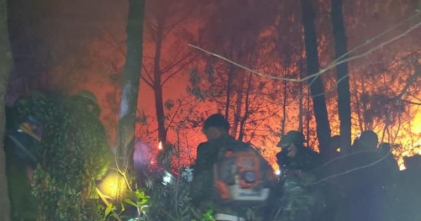 Rừng thông đang bốc cháy dữ dội, đám cháy áp sát khu dân cư