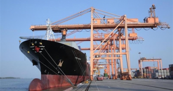 Vận tải biển nội địa: Hàng khan, cước giảm
