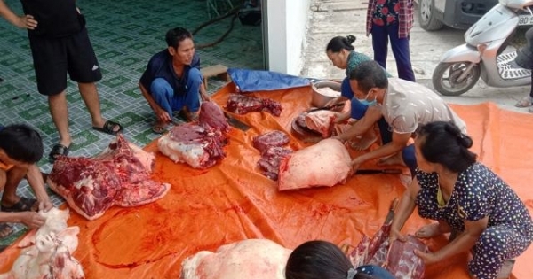 Cả xóm mổ lợn làm ruốc bông, xúc xích gửi ra “tâm dịch” Bắc Giang