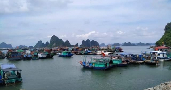 Quảng Ninh: Cấm biển để ứng phó với cơn bão KOGUMA