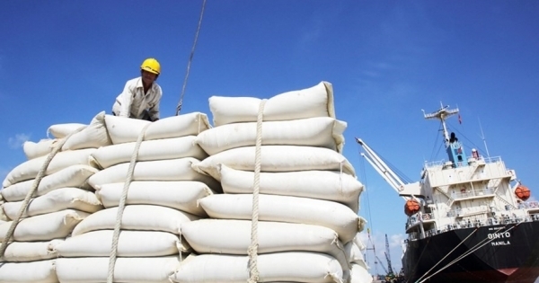 EU áp dụng hạn ngạch mới đối với 80.000 tấn gạo Việt Nam xuất khẩu từ năm 2022
