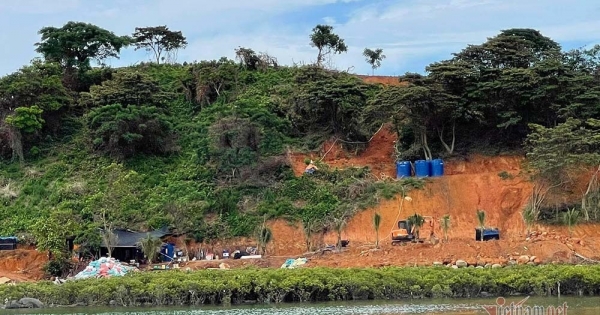 Đảo nguyên sinh ở Móng Cái bị cạo trọc: Đã di chuyển máy móc, công nhân vào bờ
