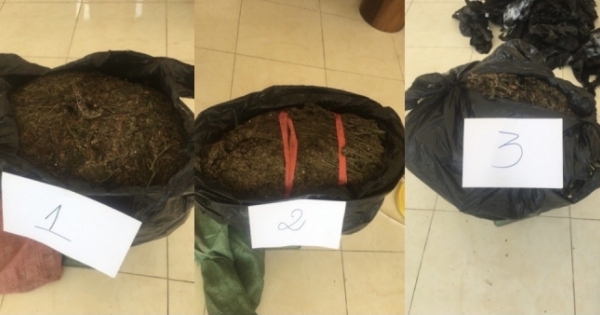 Chốt chống dịch Covid-19 bắt giữ vụ vận chuyển 19,4 kg cành, lá khô (nghi là cần sa) từ Campuchia về Việt Nam