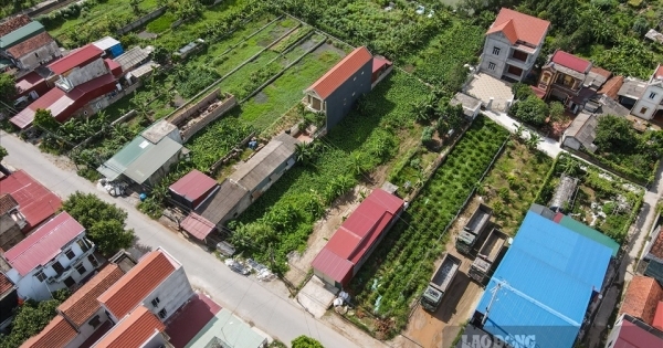 300 trường hợp sử dụng đất không hợp pháp tại xã Xuân Đài, Nam Định