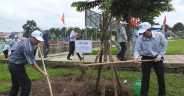 Kon Tum: Phát động Tết trồng cây và triển khai trồng hàng nghìn hécta rừng