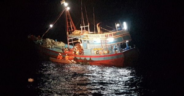 Hải Phòng: Ngư dân lặn biển bị cá mập cắn nát chân