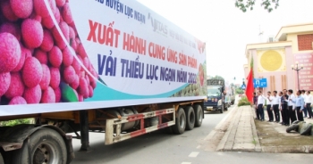 Hiệp hội Dệt may Việt Nam chung tay kết nối tiêu thụ vải thiều Lục Ngạn