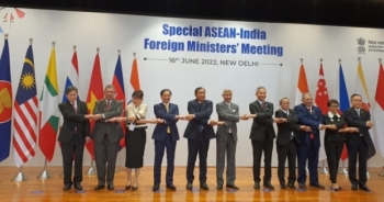 Bộ trưởng Bùi Thanh Sơn dự Hội nghị đặc biệt Bộ trưởng Ngoại giao ASEAN-Ấn Độ