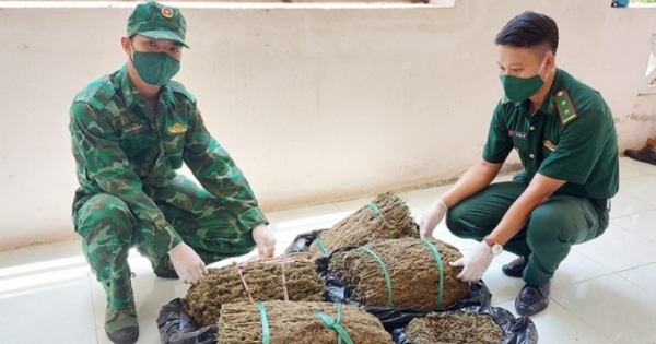 Mật phục, bắt giữ vận chuyển gần 19kg cần sa từ Campuchia về Việt Nam