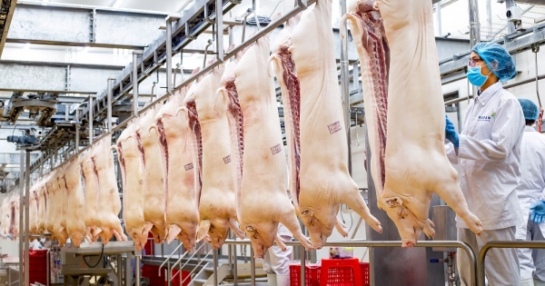 Ngành sản xuất thịt: Khó khăn nhất đã qua, kỳ vọng phục hồi tích cực từ quý 3/2023