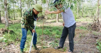 Trồng 500 cây gỗ quý tại Khu bảo tồn Thiên nhiên văn hóa Đồng Nai