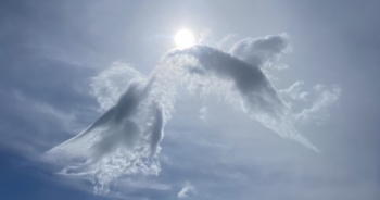 Kỳ thú hình mây cá chép hóa rồng trên đỉnh Núi Bà Đen Tây Ninh