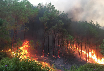Quảng Ninh: Cháy rừng ở Hạ Long và Uông Bí khiến 2 người thiệt mạng