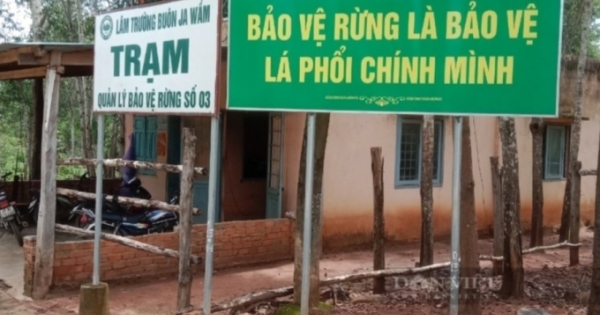 Đắk Lắk: Nhóm đối tượng tấn công nhân viên bảo vệ rừng phải nhập viện cấp cứu
