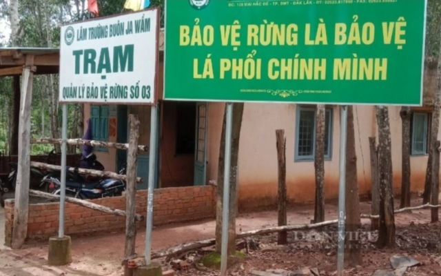 Đắk Lắk: Nhóm đối tượng tấn công nhân viên bảo vệ rừng phải nhập viện cấp cứu