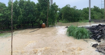 Bình Thuận: Làng bị ngập nặng do lấp suối làm đường dẫn cao tốc Phan Thiết - Dầu Giây
