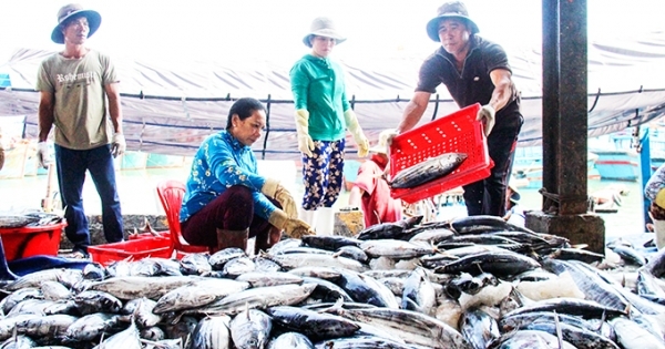 Tuyên truyền pháp luật về khai thác hải sản