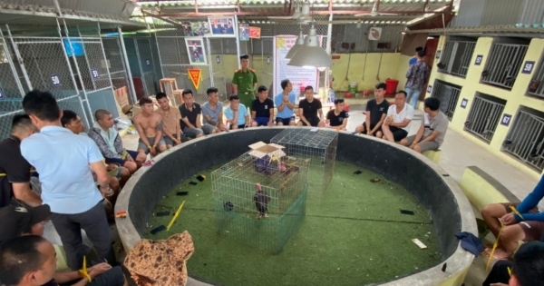 Bắc Giang: Triệt phá tụ điểm đánh bạc dưới hình thức "Đá gà" bắt giữ 30 đối tượng