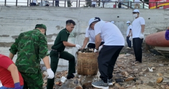 Hơn 900 người tham gia nhặt rác, bảo vệ môi trường biển tại TP Vũng Tàu