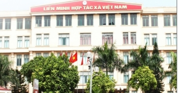 Ban Bí thư thi hành kỷ luật Đảng đoàn Liên minh Hợp tác xã Việt Nam