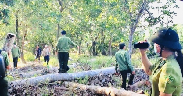 Phát hiện 230 cơ sở vi phạm trong lĩnh vực nông nghiệp ở Đồng Nai