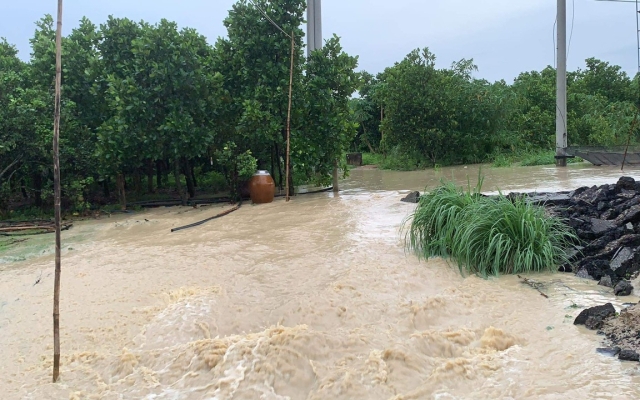 Bình Thuận: Làng bị ngập nặng do lấp suối làm đường dẫn cao tốc Phan Thiết - Dầu Giây