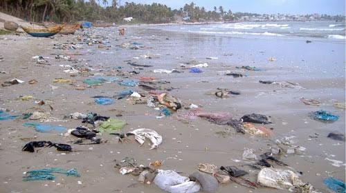 Nguy cơ “sa mạc hóa biển” từ chất thải độc hại