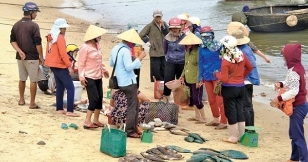 Vụ Formosa: “Chất ô nhiễm vẫn tồn lưu trong trầm tích mặt đáy biển”