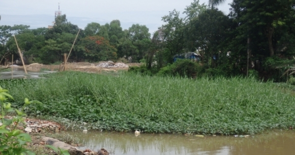 Thanh Hóa: Dự án hệ thống tiêu úng đẩy người dân vào nguy cơ sống trong ngập lụt?!